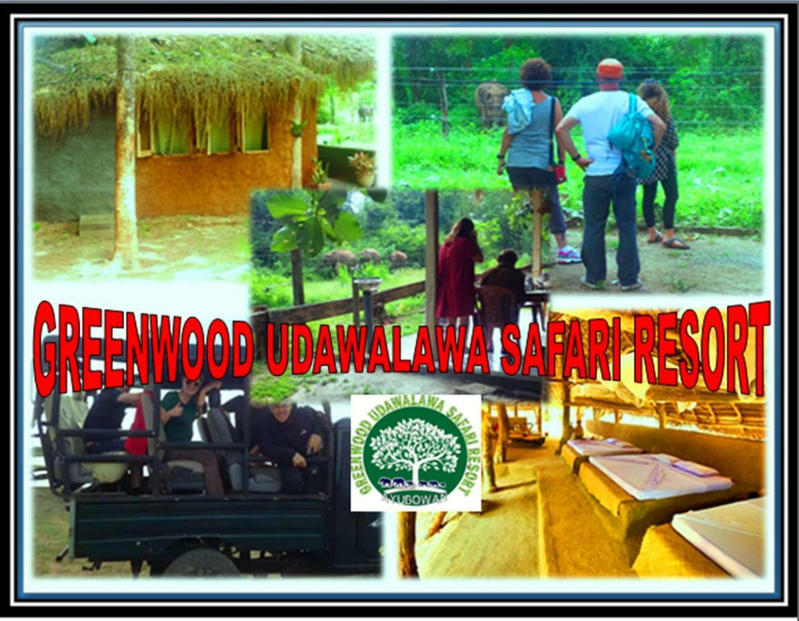 Greenwood Kandy Homestay Bagian luar foto