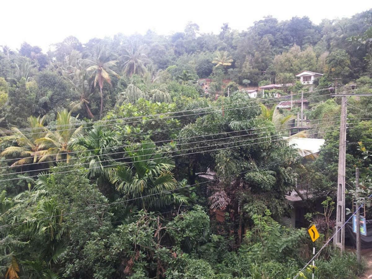 Greenwood Kandy Homestay Bagian luar foto