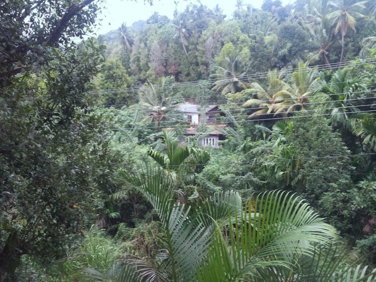 Greenwood Kandy Homestay Bagian luar foto